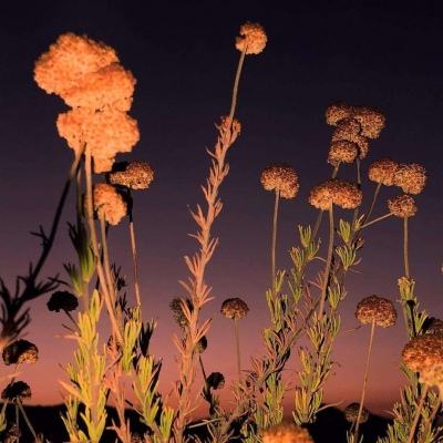 万博·ManBetX手机手机app下载